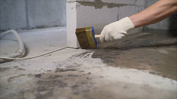 SJ Waterproofing Pros Waterproofing coverage map for Mount Clemens, MI and surrounding area